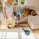 Cecotec Rockstar RS90 Pet Flex Detect Kostesuger