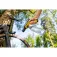 Karcher OC Handheld Compact BA Højtryksspuler