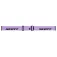 Scott Trace Compact Laskettelulasit