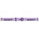 Scott Trace Pro Compact Skibriller