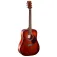Cort Violão Earth 70