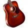 Cort Violão Earth 70