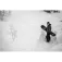 Lib tech Dpr snowboard