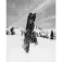 Lib tech Mayhem sweetfish Snowboard