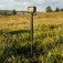Smallrig 6319 selfiekeppi