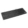 Wortmann Teclat Keyboard 4000