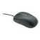 Wortmann Mouse 1500 maus