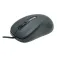 Wortmann Mouse Mouse 1500