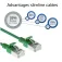 Act DB7730 CAT6a network cable