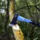 Ferrestock Handler Fiber 600g axe