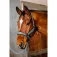 Equitheme Cavezza e lunghina Coco