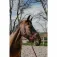 Equitheme Cavezza e lunghina Coco