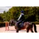 Equitheme Sottosella K-Triton