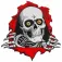 Powell peralta Patch ripper 10`` Flicken