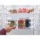Aeg TC3NS181ES Integrable Fridge