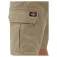 Dickies Millerville shorts refurbished