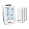 Rainpoint B0598 thermometer and hygrometer