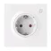 Sonoff умная розетка WS01TPF-E