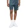 Benlee Alexus shorts refurbished