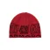 Armada Gorro AR Skully