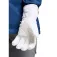 Zanier Gerlos.STX gloves