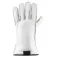 Zanier Luvas Removable Liner Warm
