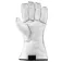 Zanier Luvas Removable Liner Warm