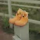 Attipas Lion 슬리퍼