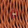 Creative cables Snake TM22 5m Lampe