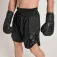 Leone1947 Black Lion Boksshort