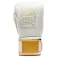 Leone1947 DNA Premium Boxhandschuhe