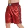 Leone1947 Short de boxe Prodigy