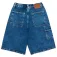 Element Vaqueros cortos Big Carpenter