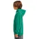 Element Cornell 3.0 kapuzenpullover
