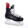 Tempish Icetrack ishockeyskor