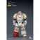 Joy toy Warhammer White Scars MKIll 图形