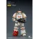 Joy toy Warhammer White Scars MKIll 图形