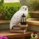 Paladone Harry Potter Hedwig 램프