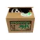 Itotal Panda säästöpossahahmo