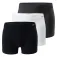 Fitanu Olayo Boxerit
