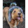 Fox international Trapper hat
