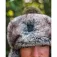 Fox international Trapper hat