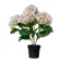 Everlands Planta Artificial Hydrangea Light Pink
