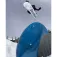Bataleon Goliath snowboard