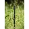 Korum Twist Lock 银行棒