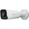Synology BC800Z security camera