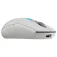 Logitech Mouse gaming wireless 910 007748