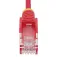 Startech 65030918510 CAT6 network cable