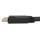 C2g Cable DisplayPort a HDMI C2G50113