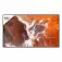 Sony Bravia FW-65BZ30P 모니터